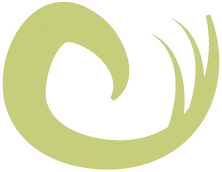 Lock Of The Magus