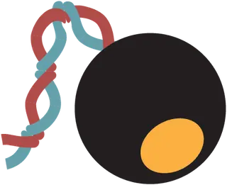 Robot eye