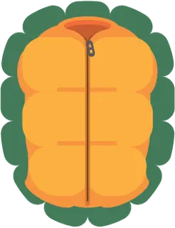 Turtle Shell