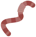 Earthworm